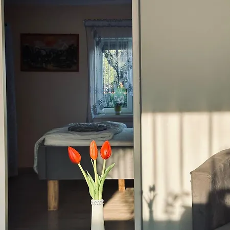 Pod Debem Jugów